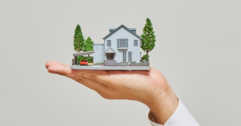 Intellectual Property Rights And Licensing Benefits